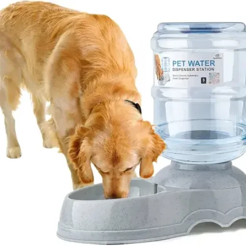 Pet feeder, Pet drinker for cat and dog